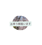 月山兎楽妃矢護渋五初老ヒロ気村むるちゃ壱（個別スタンプ：9）