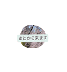 月山兎楽妃矢護渋五初老ヒロ気村むるちゃ壱（個別スタンプ：10）