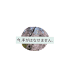 月山兎楽妃矢護渋五初老ヒロ気村むるちゃ壱（個別スタンプ：12）
