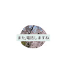 月山兎楽妃矢護渋五初老ヒロ気村むるちゃ壱（個別スタンプ：13）