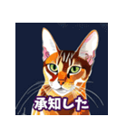 いろんな猫の日常会話スタンプ（個別スタンプ：6）