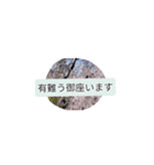 月山兎楽妃矢護渋禄初老ヒロ気村むるちゃ弐（個別スタンプ：6）