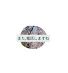 月山兎楽妃矢護渋禄初老ヒロ気村むるちゃ弐（個別スタンプ：7）