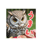 リアルで可愛いフクロウのリアクション（個別スタンプ：6）