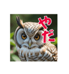 リアルで可愛いフクロウのリアクション（個別スタンプ：10）