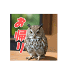 リアルで可愛いフクロウのリアクション（個別スタンプ：14）