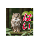 リアルで可愛いフクロウのリアクション（個別スタンプ：17）