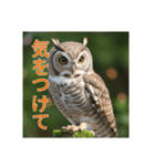 リアルで可愛いフクロウのリアクション（個別スタンプ：21）