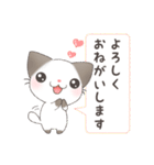 こねこのぷっぷ（個別スタンプ：7）