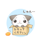 こねこのぷっぷ（個別スタンプ：22）