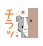 ちびボーダーズ4【でか文字】（個別スタンプ：33）