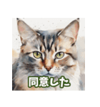 いろんな猫の日常会話スタンプ2（個別スタンプ：9）