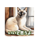 いろんな猫の日常会話スタンプ2（個別スタンプ：10）