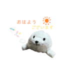 あざらしのおうちゃん 日常（個別スタンプ：3）