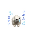 あざらしのおうちゃん 日常（個別スタンプ：6）