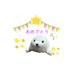 あざらしのおうちゃん 日常（個別スタンプ：10）