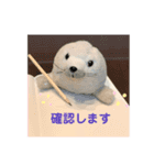 あざらしのおうちゃん 日常（個別スタンプ：13）