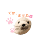あざらしのおうちゃん 日常（個別スタンプ：15）