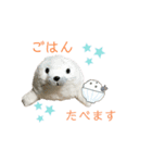 あざらしのおうちゃん 日常（個別スタンプ：16）