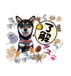 黒柴の茶茶ちゃん❤️（個別スタンプ：6）
