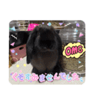 さがわペットファミリー（個別スタンプ：7）