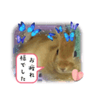 さがわペットファミリー（個別スタンプ：16）