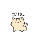 (口の悪い)Hello猫スタンプ黄Ver.（個別スタンプ：17）