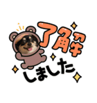 おじーじ（個別スタンプ：3）
