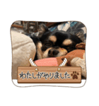 おじーじ（個別スタンプ：5）