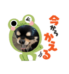 おじーじ（個別スタンプ：8）
