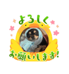おじーじ（個別スタンプ：9）