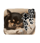 おじーじ（個別スタンプ：13）