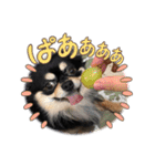 おじーじ（個別スタンプ：14）