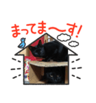 もしもし猫さん（個別スタンプ：7）