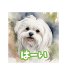 水彩画の犬2（個別スタンプ：9）