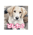 水彩画の犬2（個別スタンプ：29）