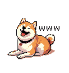 日常 ドット絵 柴犬 40種 しばけん（個別スタンプ：2）