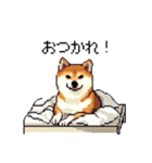 日常 ドット絵 柴犬 40種 しばけん（個別スタンプ：6）