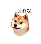 日常 ドット絵 柴犬 40種 しばけん（個別スタンプ：16）