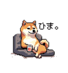 日常 ドット絵 柴犬 40種 しばけん（個別スタンプ：25）