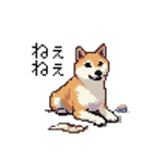 日常 ドット絵 柴犬 40種 しばけん（個別スタンプ：29）