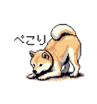 日常 ドット絵 柴犬 40種 しばけん（個別スタンプ：32）