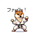 日常 ドット絵 柴犬 40種 しばけん（個別スタンプ：33）