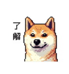 日常 ドット絵 柴犬 40種 しばけん（個別スタンプ：35）