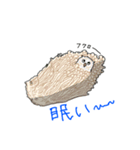 動物かくれんぼ5（個別スタンプ：3）