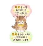 【BIG】イベント☆猫たちのスタンプ（個別スタンプ：8）