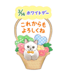 【BIG】イベント☆猫たちのスタンプ（個別スタンプ：21）