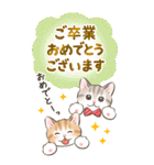 【BIG】イベント☆猫たちのスタンプ（個別スタンプ：22）