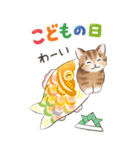 【BIG】イベント☆猫たちのスタンプ（個別スタンプ：24）