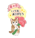 【BIG】イベント☆猫たちのスタンプ（個別スタンプ：25）